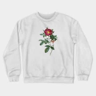 Dark Red Rose Flower Vintage Botanical Illustration Crewneck Sweatshirt